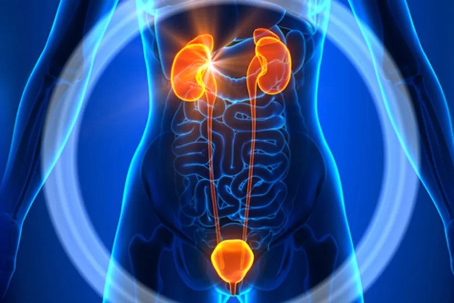 Uro-Oncology